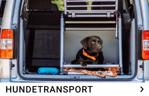 hundetransport kachelmenue